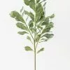 Afloral Faux Pittosporum Leaf Branch - 30.5" Artificial Plants