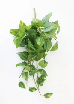 Afloral Real Touch Hanging Pothos Fake Plant - 22"