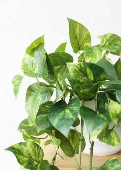 Afloral Artificial Plants Natural Touch Pothos Artificial Plant - 48"