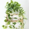 Afloral Artificial Plants Natural Touch Pothos Artificial Plant - 48"