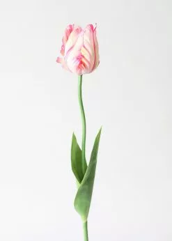 Afloral Tie Dye Pink Artificial Parrot Tulip - 25