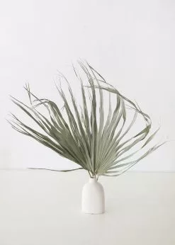 Afloral Bundle Of 5 Large Natural Fan Palms - 26-30