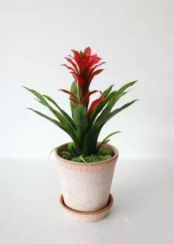 Afloral Indoor/Outdoor Tropical Bromeliad Plant - 14" Artificial Flowers