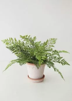 Afloral Fake Lace Fern UV Protected Real Touch Plant - 19"