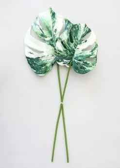 Afloral Artificial Plants Artificial Variegated Monstera Leaves - 2 Stem Bundle- 27-29"