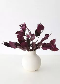 Afloral Dried Flowers Purple Preserved Salal Leaves - 12-20
