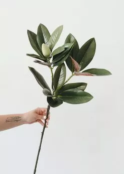 Afloral Artificial Magnolia Leaf - 34.5