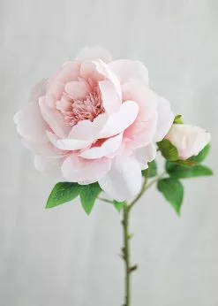 Afloral Artificial Flowers Silk Peony In Light Pink - 24