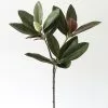 Afloral Artificial Magnolia Leaf - 34.5"