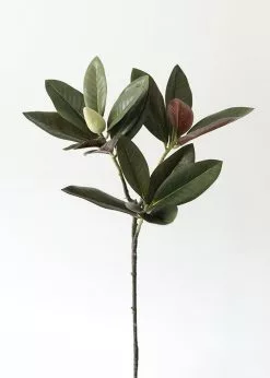 Afloral Artificial Magnolia Leaf - 34.5"