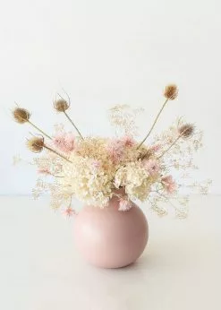 Afloral Dried Hydrangea In Cream - 22-24