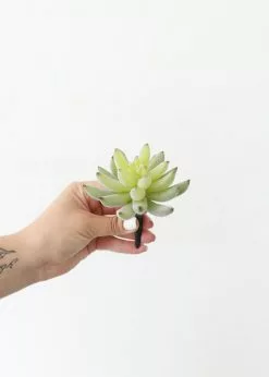 Afloral Artificial Plants Artificial Flocked Succulents Agave Cactus - 4