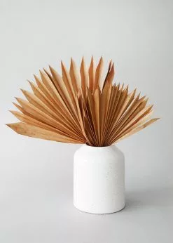 Afloral Vases Speckled White Cylinder Vase - 5.75