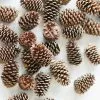 Afloral Dried Flowers Box Of 100 Natural Pine Cones - 3-5"