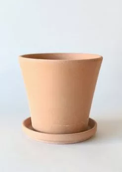 Afloral Large Terra Cotta Pot With Drainage - 9.5"