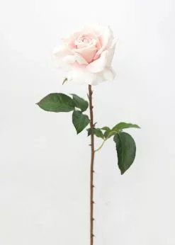 Afloral Real Touch Dutchess Rose In Pale Pink - 20"