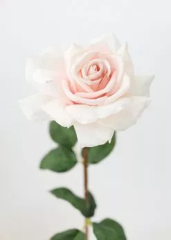 Afloral Real Touch Dutchess Rose In Pale Pink - 20"