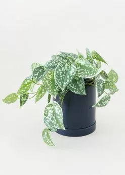 Afloral Artificial Satin Pothos House Plant - 9