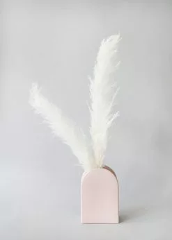 Afloral Bundle Of 3 Natural Skinny Pampas Grass - 38-42