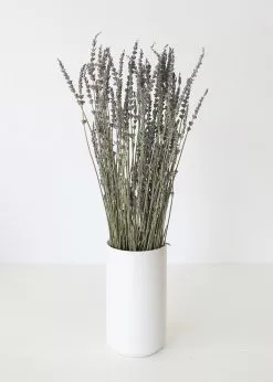 Afloral Dried Flowers Dried Lavender Wildflowers - 15-22