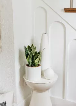 Afloral Artificial Plants Fake Snake Plant In Terracotta Pot - 14"