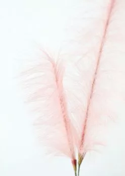 Afloral Fake Pampas Grass In Pink - 49