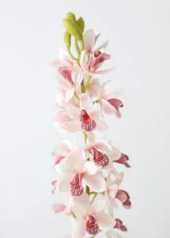 Afloral Artificial Flowers Pink Mauve Fake Cymbidium Orchid - 31"
