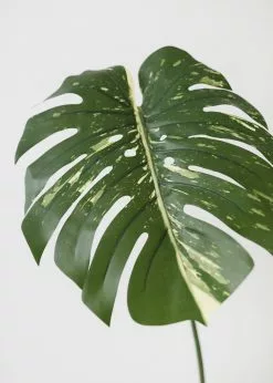 Afloral Artificial Philodendron Tropical Leaf - 23.5