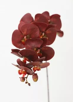 Afloral Artificial Flowers Burgundy Red Fake Phalaenopsis Orchids - 30"