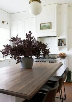 Afloral Plum Fake Cimicifuga Ramosa Leaves - 31