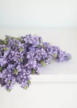 Afloral Lavender Artificial Lilac Flower - 25