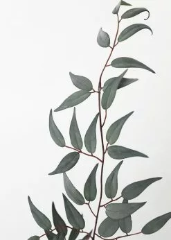 Afloral Artificial Plants Artificial Italian Ruscus Leaf Branch - 36"