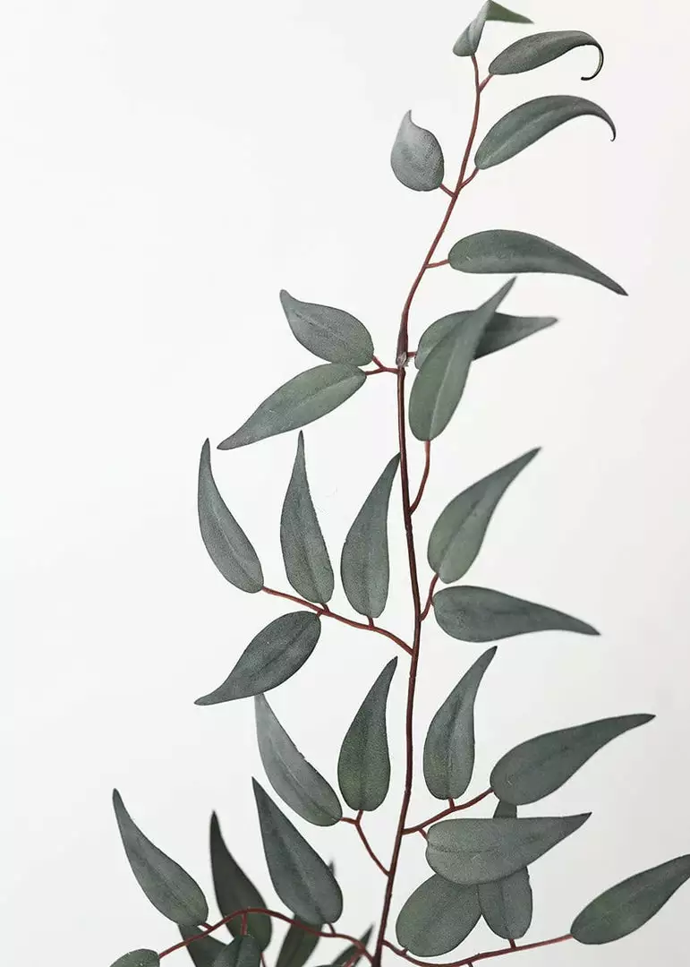 Afloral Artificial Plants Artificial Italian Ruscus Leaf Branch - 36"