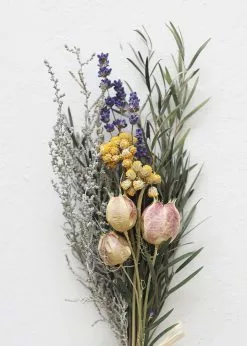 Afloral Petite Dried Flower Bundle - 6-12" Dried Flowers