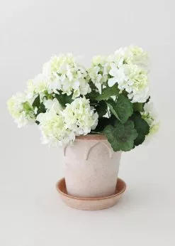 Afloral Bergs Elizabeth Terracotta Pot With Drainage - 6.5" Vases