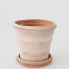 Afloral.com Bergs Pink Terra Cotta Pot With Drainage - 6"