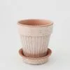 Afloral.com Vases Bergs Simona Scalloped Pot With Drainage - 6"