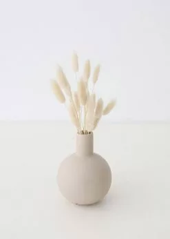 Afloral Natural Dried Bunny Tail - 18-28