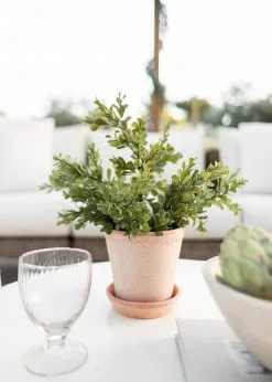 Afloral.com Bergs Handmade Clay Pot With Drainage - 6.5