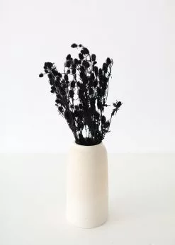 Afloral Dried Flowers Black Dried Eryngium Sea Holly Flowers - 15-22