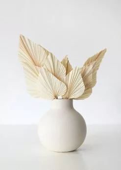 Afloral Dried Flowers Bundle Of 10 Bleached Dried Palm Spears - 14-20