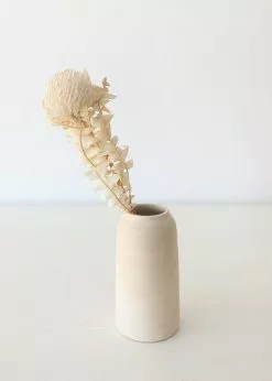 Afloral Single Dried Banksia In Cream - 16-18