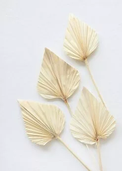 Afloral Dried Flowers Bundle Of 10 Bleached Dried Palm Spears - 14-20