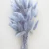 Afloral Light Blue Dried Bunny Tails - 18-28" Dried Flowers