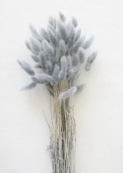 Afloral Blue Grey Dried Bunny Tails - 22-30"