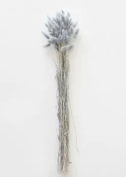 Afloral Blue Grey Dried Bunny Tails - 22-30"