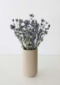 Afloral Dried Flowers Dried Eryngium Sea Holly Flowers - 15-22