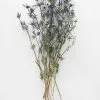 Afloral Dried Flowers Dried Eryngium Sea Holly Flowers - 15-22"