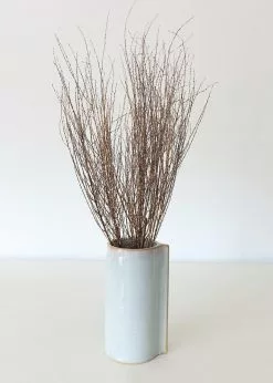 Afloral Dried Hoary Willow Branches - 20-30