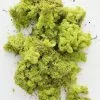 Afloral Bright Green Preserved Reindeer Moss - 1 Lb